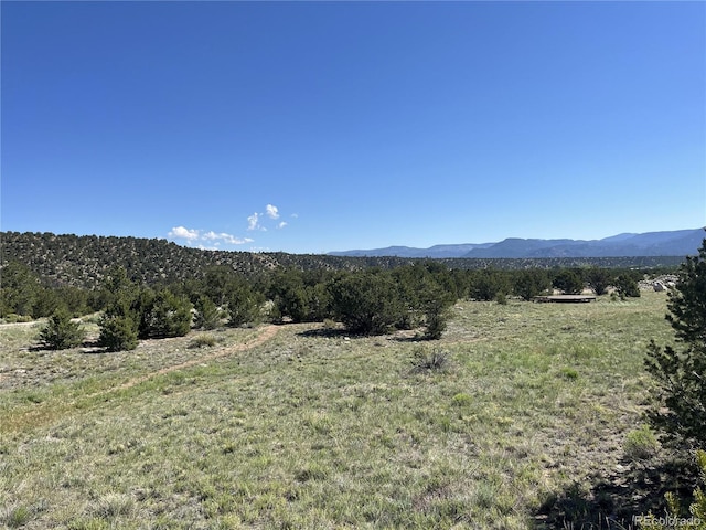 Listing photo 3 for 14973 Chalk Creek Dr, Nathrop CO 81236