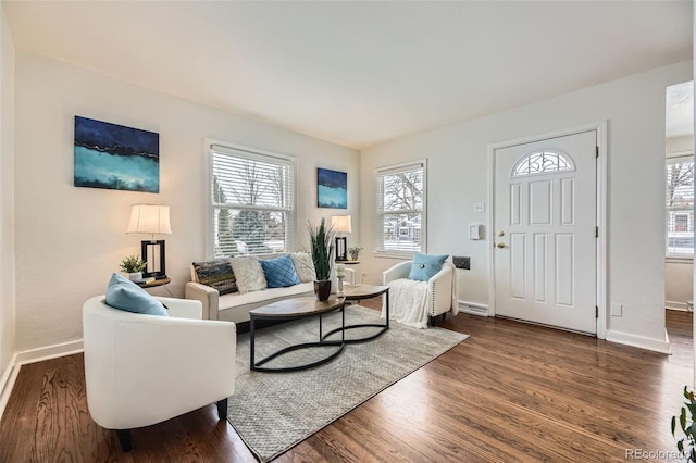 living room with dark hardwood / wood-style flooring