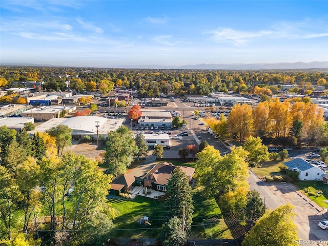 1600 Balsam St, Lakewood, CO 80214 - photo 28