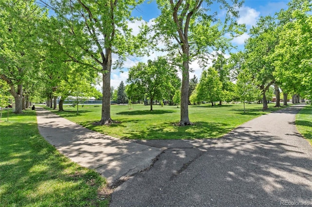 1600 Balsam St, Lakewood, CO 80214 - photo 31