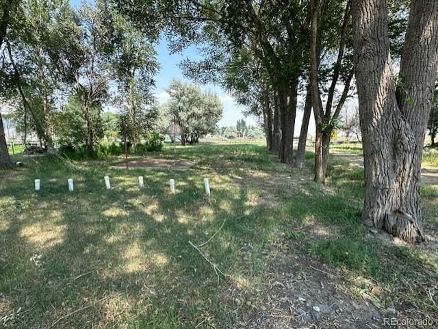 13193 E US Highway 160, Alamosa, CO 81101 - view of yard