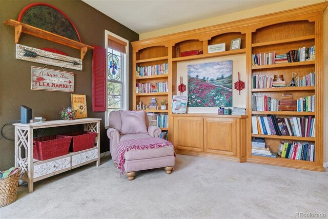 sitting room with carpet floors