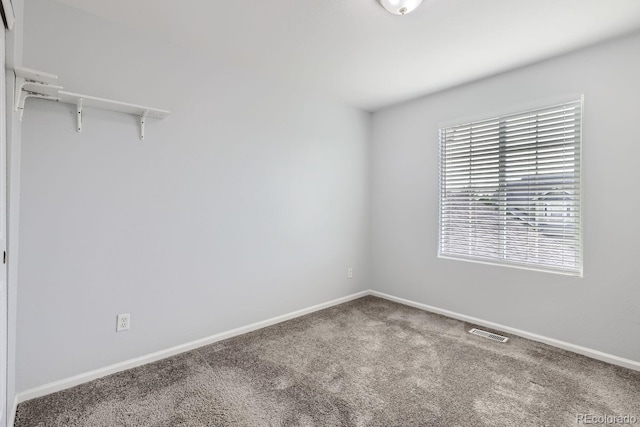 empty room featuring carpet