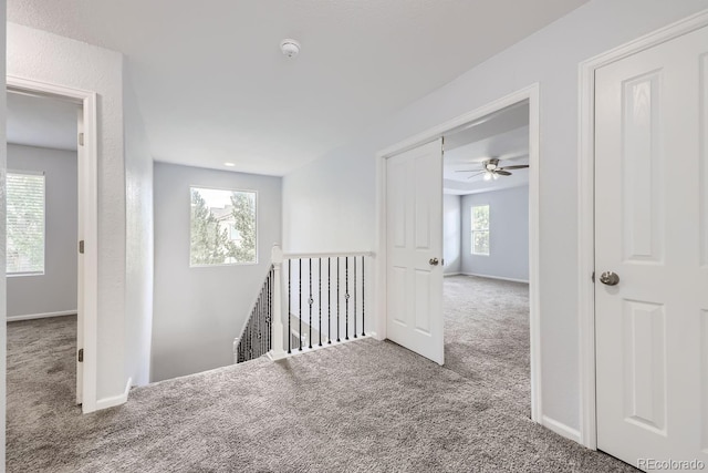 hallway featuring carpet flooring