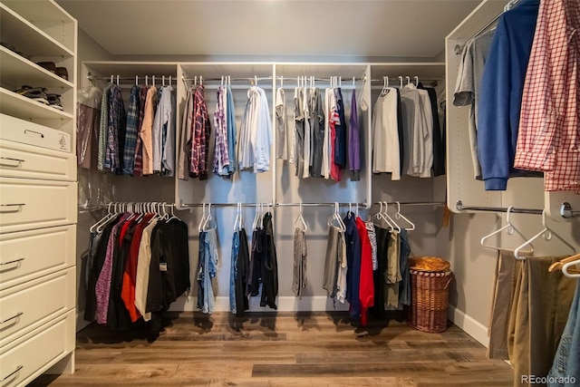 walk in closet featuring wood-type flooring