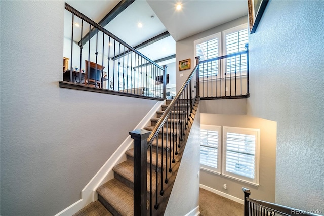 stairs with carpet flooring