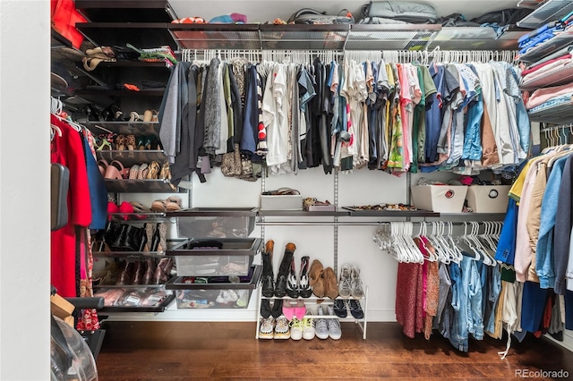 449 S Humboldt St, Denver, CO 80209 - spacious closet featuring wood finished floors