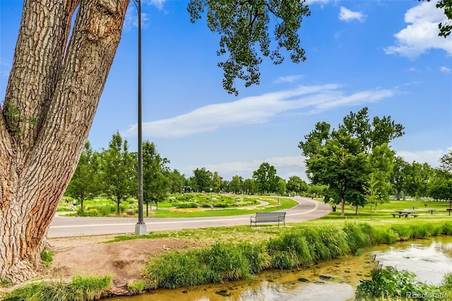840 S Corona St, Denver, CO 80209 - photo 45