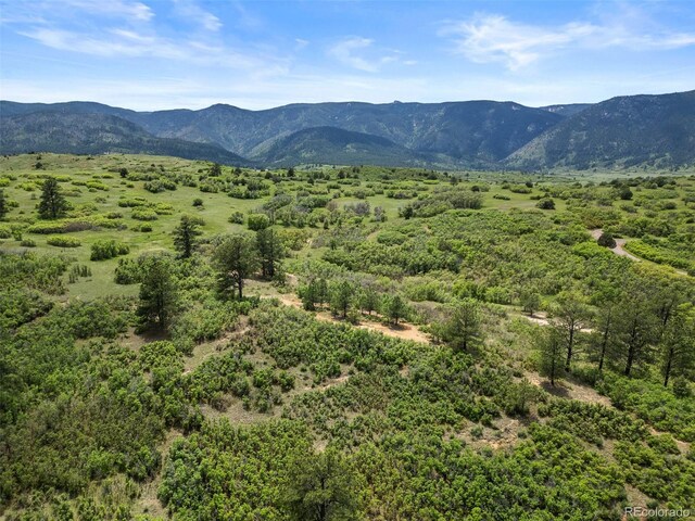 8821 S Perry Park Rd, Larkspur, CO 80118 - photo 36