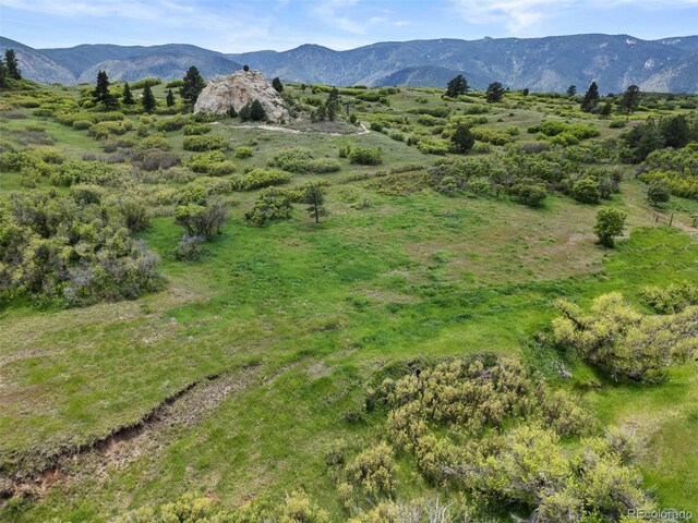 8821 S Perry Park Rd, Larkspur, CO 80118 - photo 41