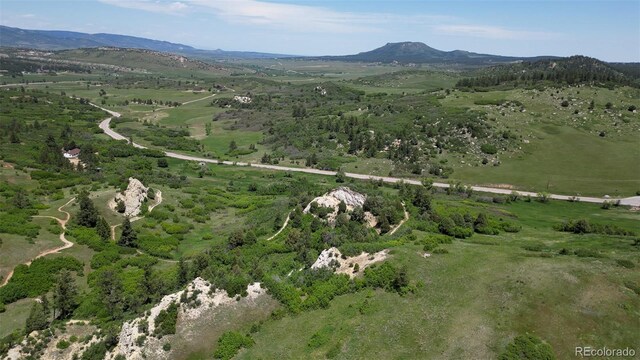 8821 S Perry Park Rd, Larkspur, CO 80118 - photo 43