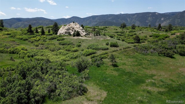 8821 S Perry Park Rd, Larkspur, CO 80118 - photo 44