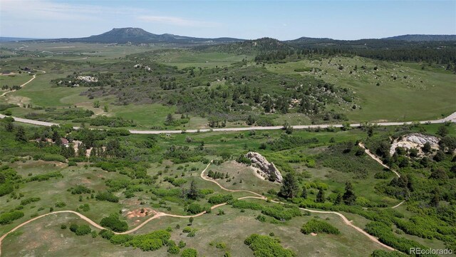 8821 S Perry Park Rd, Larkspur, CO 80118 - photo 46