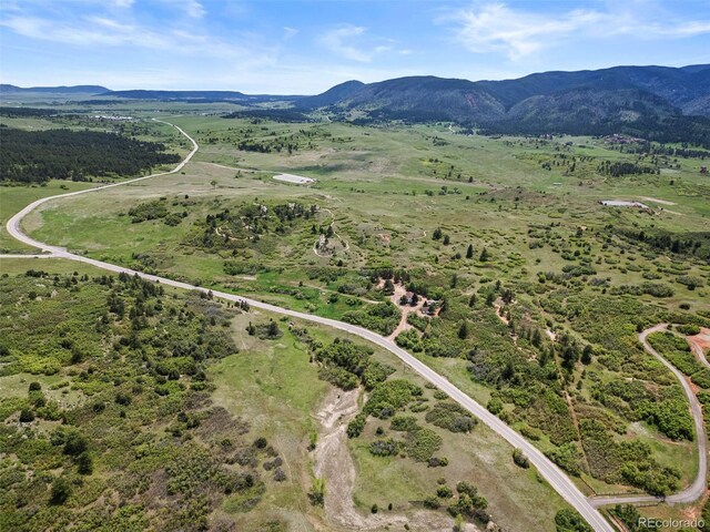 8821 S Perry Park Rd, Larkspur, CO 80118 - photo 6