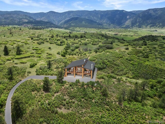 8821 S Perry Park Rd, Larkspur, CO 80118 - photo 10