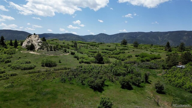 8821 S Perry Park Rd, Larkspur, CO 80118 - photo 28
