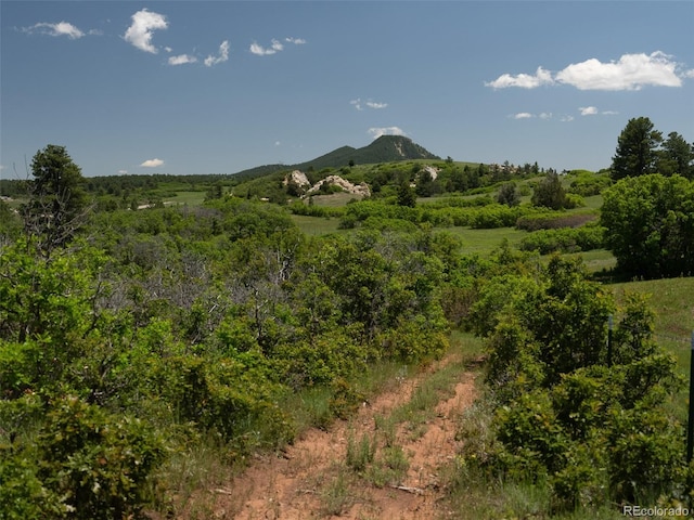 8821 S Perry Park Rd, Larkspur, CO 80118 - photo 31
