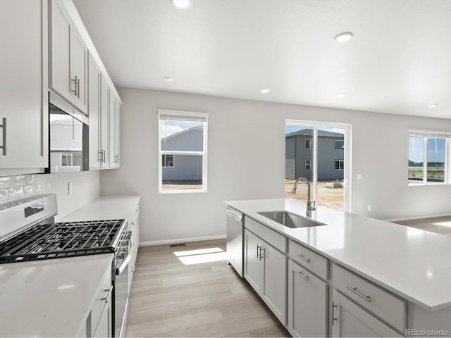 1604 Colorado River Dr, Windsor, CO 80550 - photo 11
