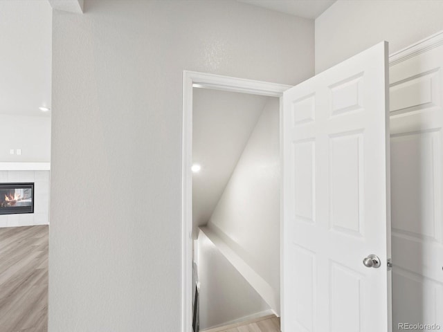 1604 Colorado River Dr, Windsor, CO 80550 - photo 17