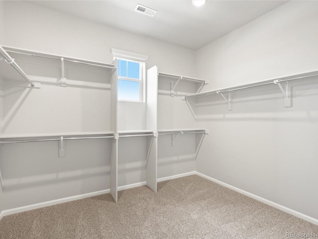 1604 Colorado River Dr, Windsor, CO 80550 - photo 32