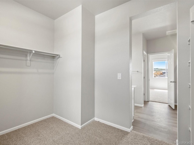 1604 Colorado River Dr, Windsor, CO 80550 - photo 33