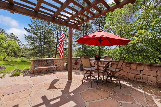 2107 Ridge Plaza Dr, Castle Rock, CO 80108 - photo 37