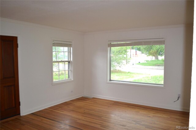 1300 Spruce St, Denver, CO 80220 - photo 5