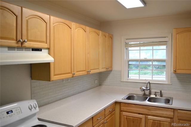 1300 Spruce St, Denver, CO 80220 - photo 9
