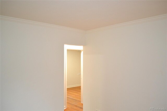 1300 Spruce St, Denver, CO 80220 - photo 16