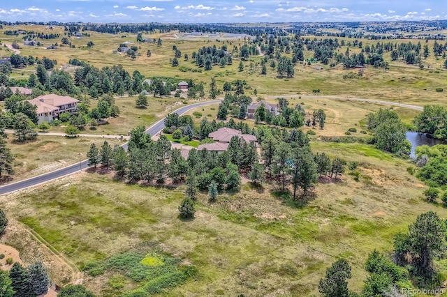 11307 Bell Cross Cir, Parker, CO 80138 - photo 49