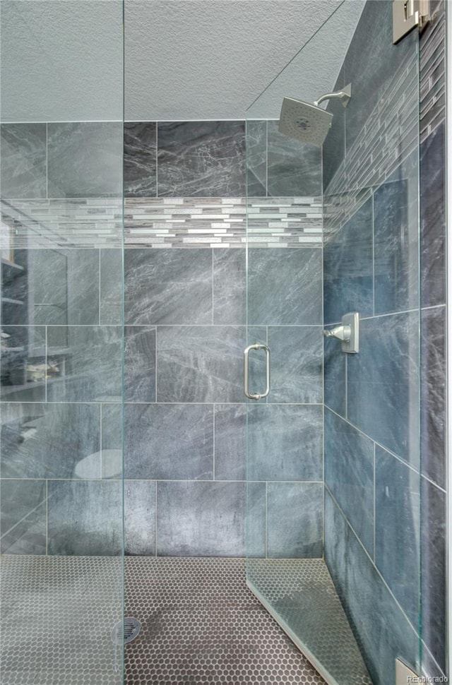 45321 Summit Rd, Parker, CO 80138 - bathroom featuring a shower stall
