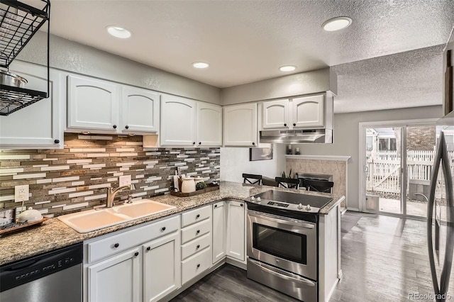 kitchen featuring under cabinet range hood, dark wood finished floors, white cabinets, stainless steel appliances, and a sink