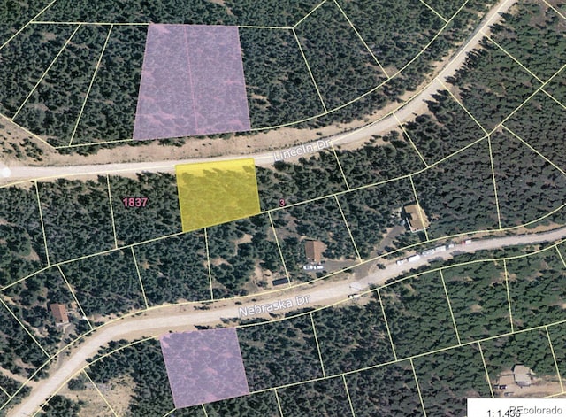 Lincoln Dr, Idaho Springs, CO 80542 - photo 6