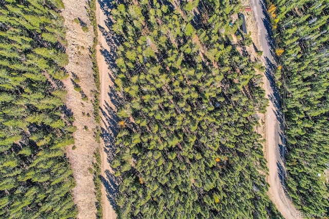 Lincoln Dr, Idaho Springs, CO 80542 - photo 1