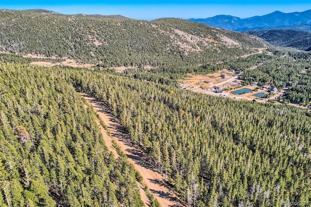 Lincoln Dr, Idaho Springs, CO 80542 - photo 2