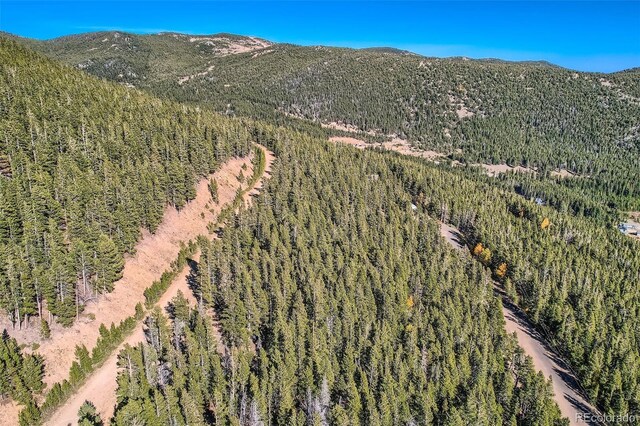 Lincoln Dr, Idaho Springs, CO 80542 - photo 3
