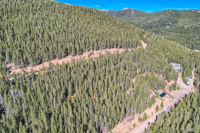 Lincoln Dr, Idaho Springs, CO 80542 - photo 4