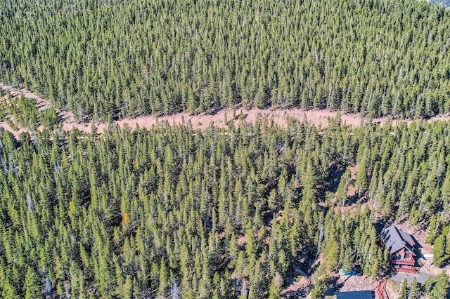Lincoln Dr, Idaho Springs, CO 80542 - photo 7