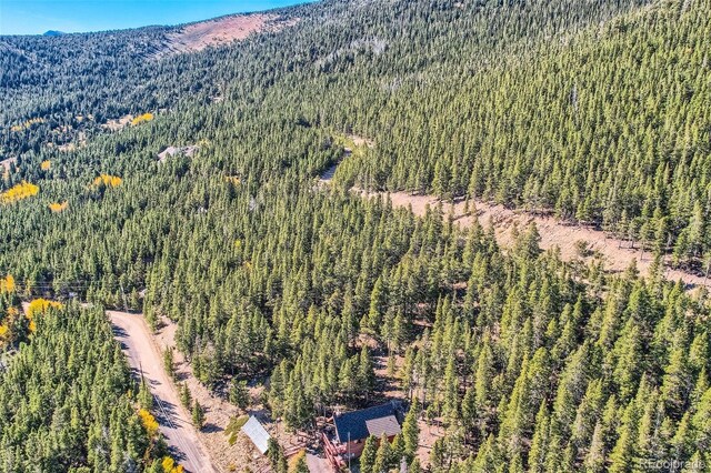 Lincoln Dr, Idaho Springs, CO 80542 - photo 8