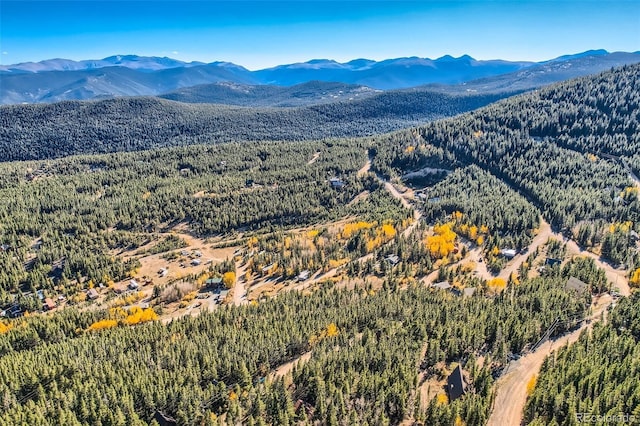 Lincoln Dr, Idaho Springs, CO 80542 - photo 11