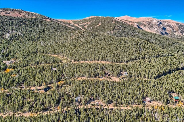 Lincoln Dr, Idaho Springs, CO 80542 - photo 12