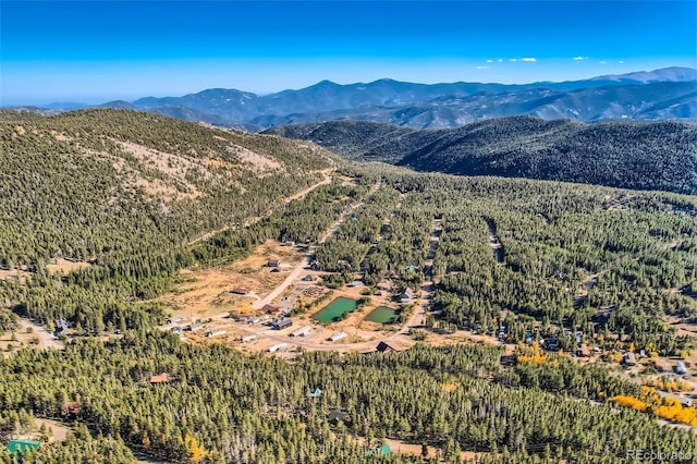 Lincoln Dr, Idaho Springs, CO 80542 - photo 13