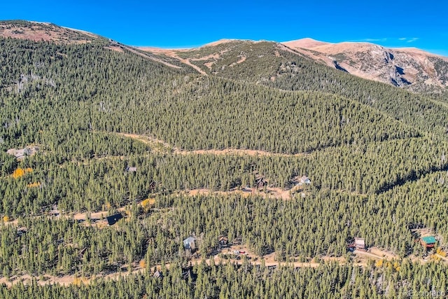 Lincoln Dr, Idaho Springs, CO 80542 - photo 14