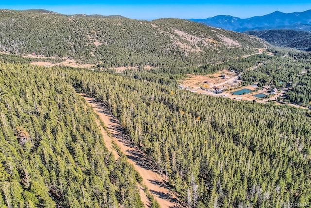 Lincoln Dr, Idaho Springs, CO 80542 - photo 16