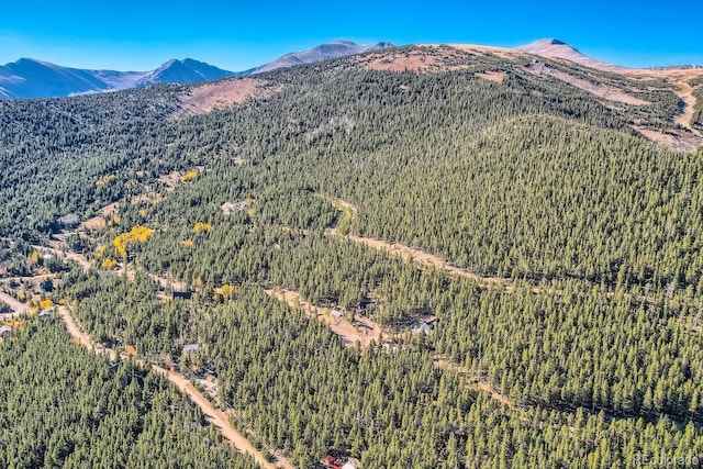 Lincoln Dr, Idaho Springs, CO 80542 - photo 17