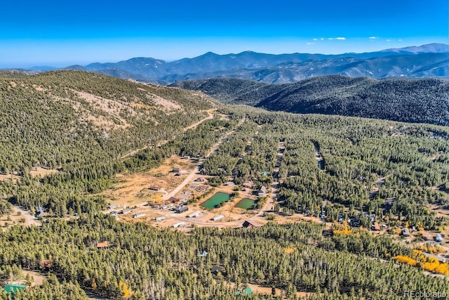 Lincoln Dr, Idaho Springs, CO 80542 - photo 18
