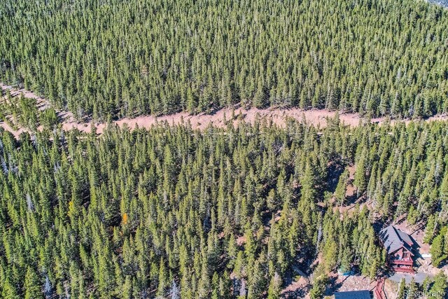 Lincoln Dr, Idaho Springs, CO 80542 - photo 19