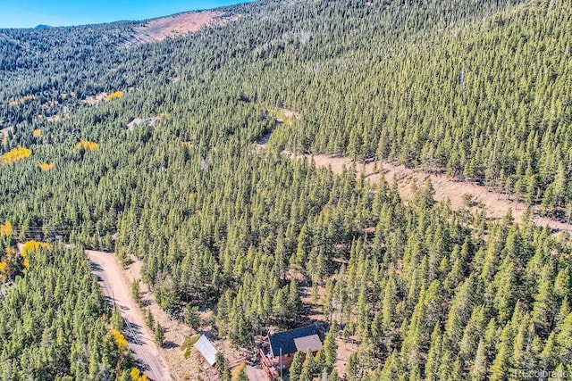 Lincoln Dr, Idaho Springs, CO 80542 - photo 20