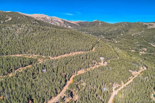 Lincoln Dr, Idaho Springs, CO 80542 - photo 21