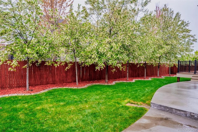 30 Stewart Way, Erie, CO 80516 - view of yard with a fenced backyard